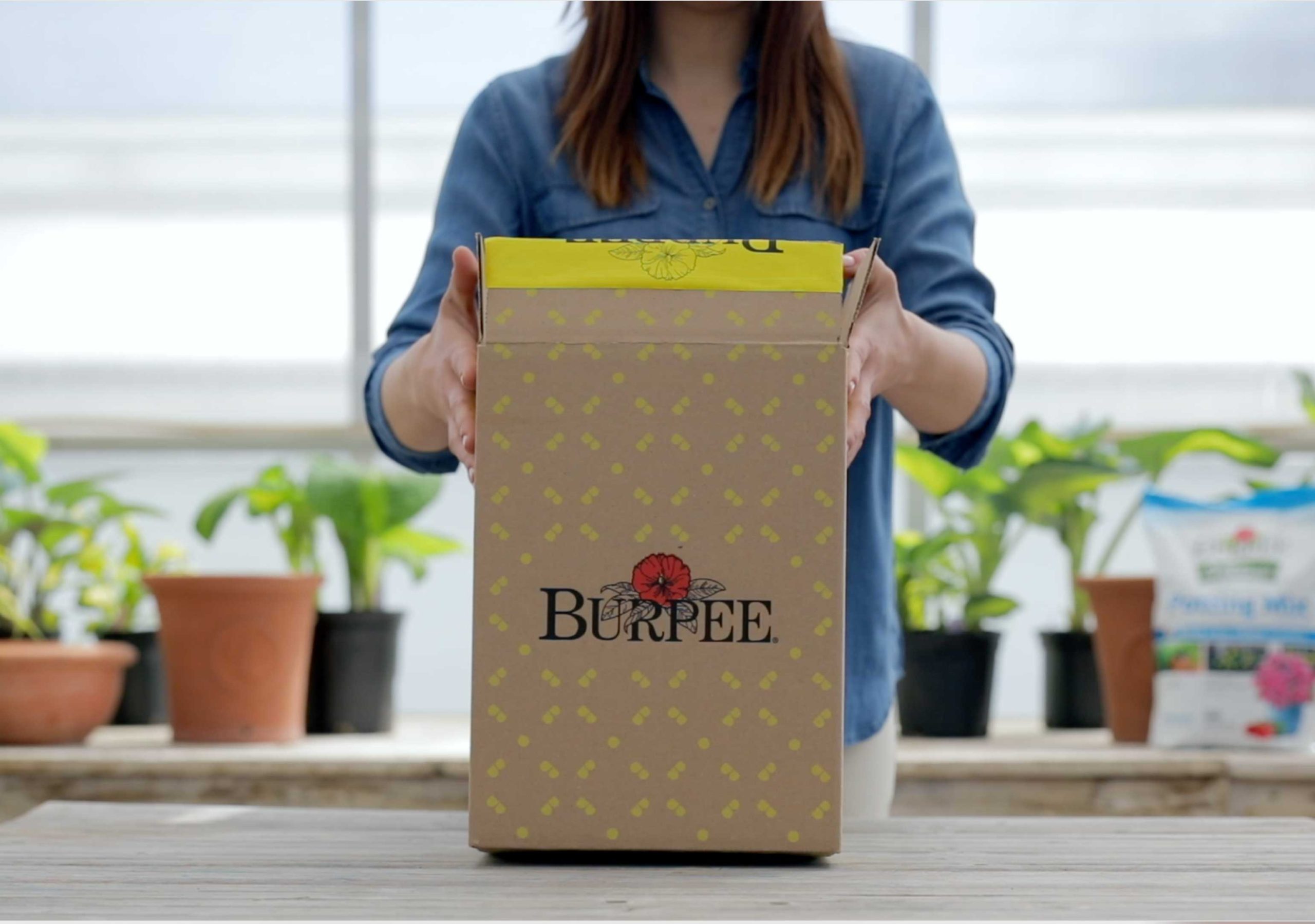 Burpee Packaging