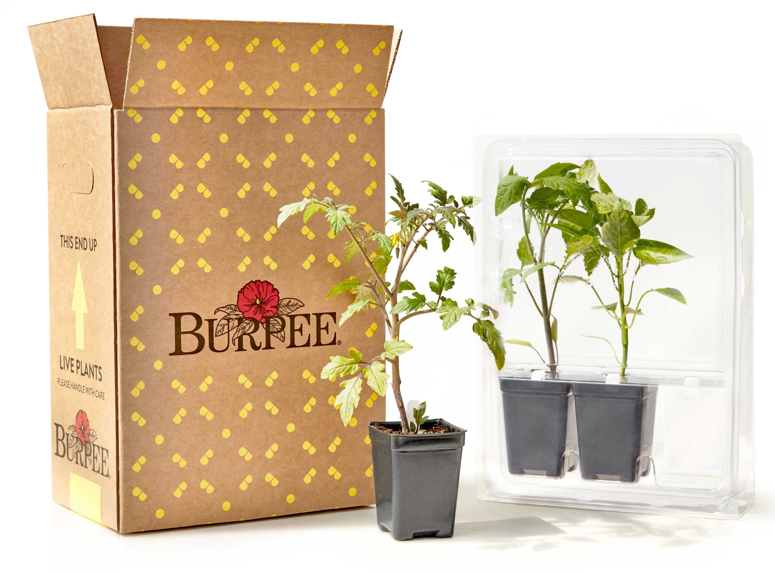 Burpee 3 Plant Packaging